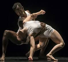 What Is A Male Ballet Dancer Called In America